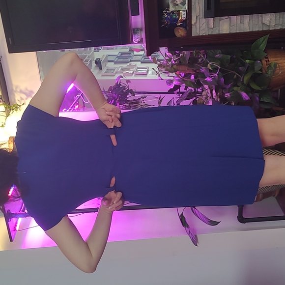 Blue Office Dress - Picture 2 of 4